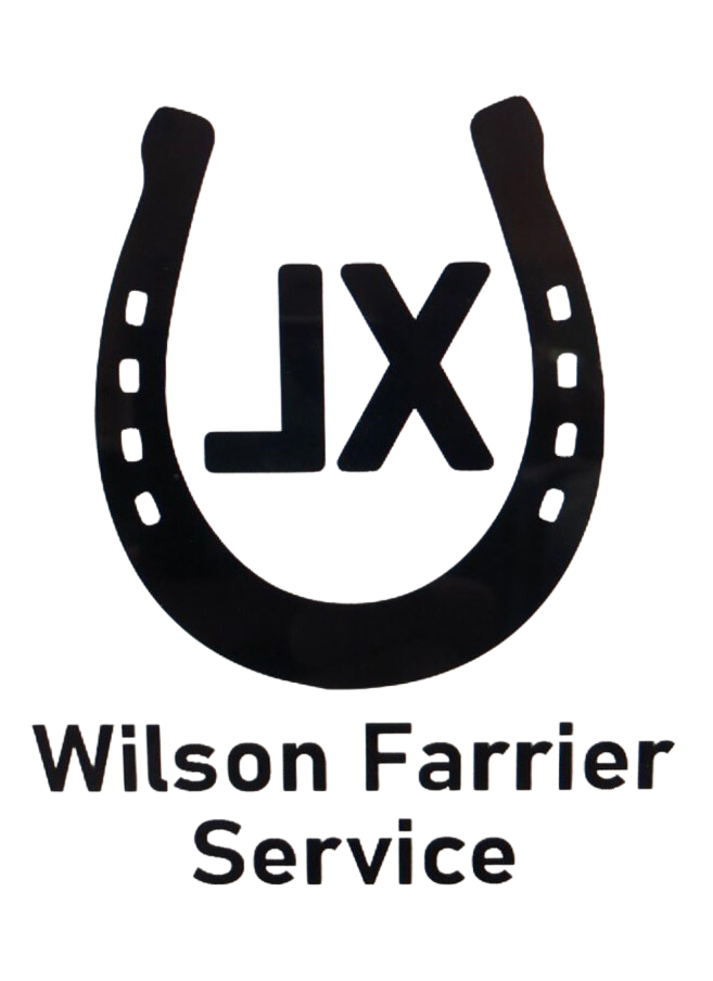 Wilson Ferrier Service